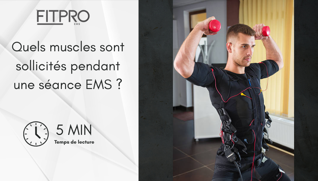 Quels muscles sont sollicités pendant une séance EMS Image